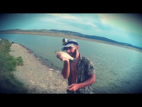 თევზაობა ნადარბაზევის ტბაზე Рыбалка в Грузии на озере